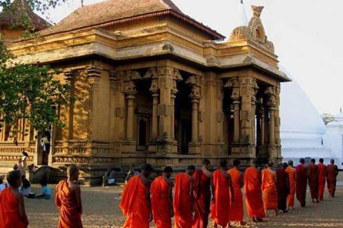Colombo Shore Excursion to Panoramic Colombo With Kelaniya Temple - Participation Requirements