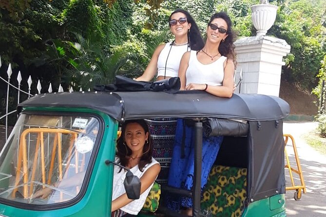 Colombo Sightseeing Private Tour by Tuk Tuk Morning OR Evening - Gangaramaya Temple