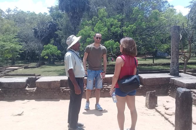 Colombo to Polonnaruwa Ancient City Visit and Safari - Reviews