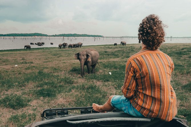 Colombo to Trincomalee Shuttle & Safari Drive - Inclusions and Logistics