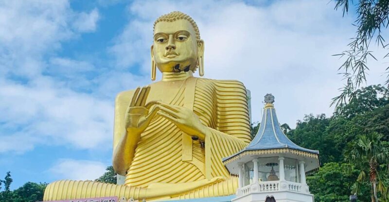 Colombo to Wonderful Sigiriya Day Tour - Transportation and Guide