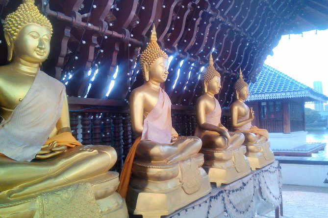 Colombo Walking Tour With Ayurvedic Learning - Inclusions and Exclusions