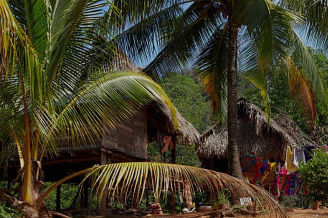 Colon Panama: Embera Indians and Miraflores Locks - Accessibility Information