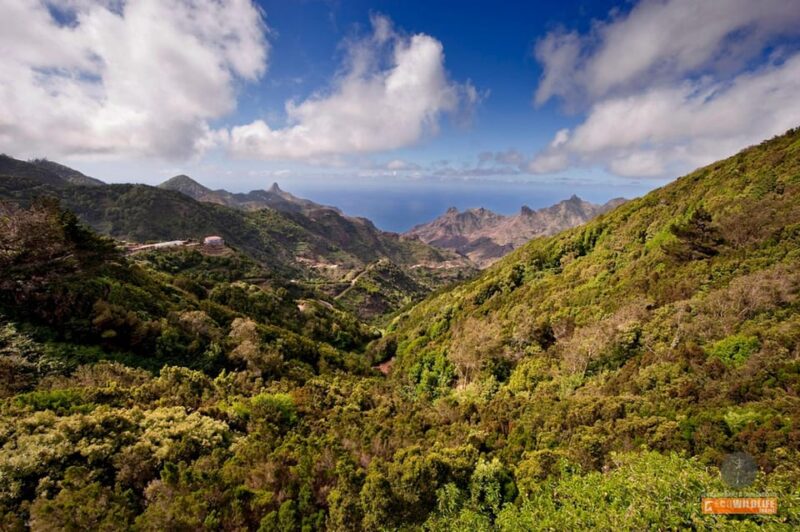 Colon Skies - Historical Significance