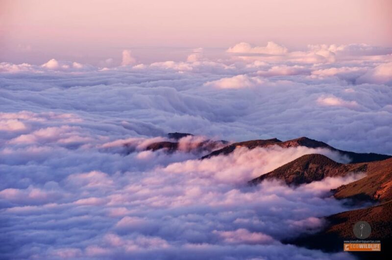 Colon Skies - Nature Exploration