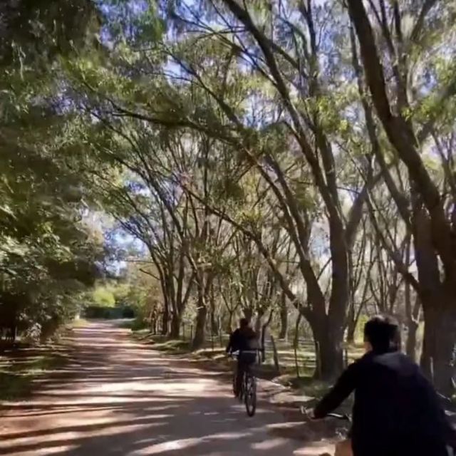 Colonia Del Sacramento: Adventure Sightseeing Bike Tour - Option for Winery Picnic