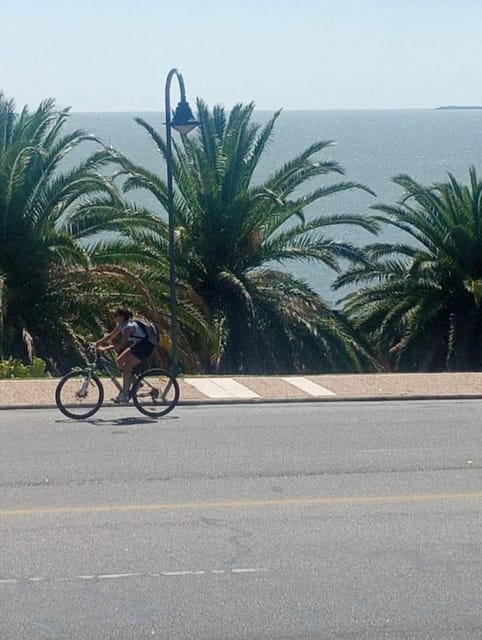 COLONIA DEL SACRAMENTO BIKE RENTAL - Participant Information