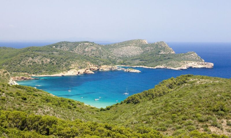 Colonia Sant Jordi: Classic & Express Boat Tour to Cabrera - Key Points