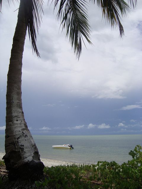 Colonial North Coast Beaches - Full-Day Tour - Key Points
