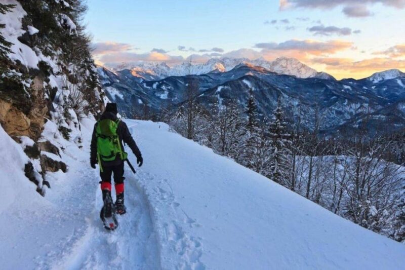Colorado Backcountry: Guided Snowshoe Tour - Booking Information