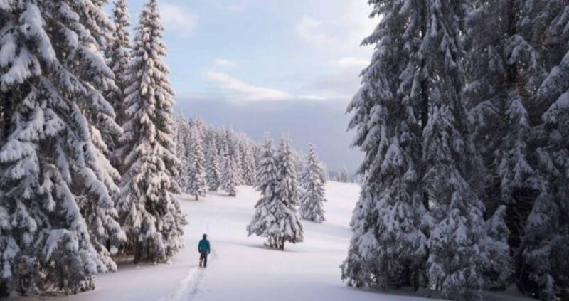 Colorado Backcountry: Guided Snowshoe Tour - Frequently Asked Questions