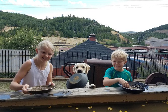 Colorado Gold Rush Mountain and Mine Half-Day Tour From Denver - Customer Reviews Highlights