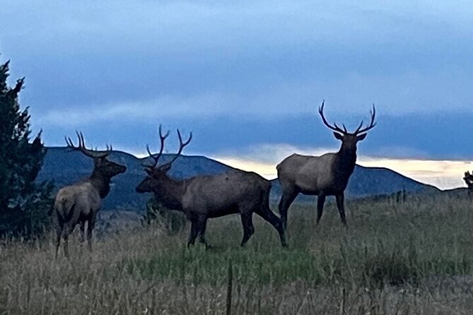 Colorado Green Friendly Mountain Sunset Tour From Denver - Breathtaking Sunset View