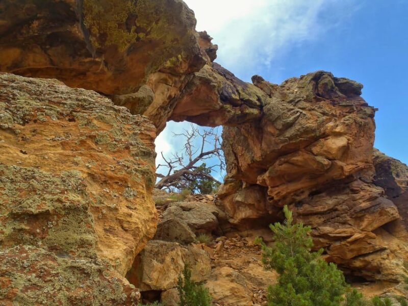 Colorado Jeep Tours - Red Canyon Half-Day Tour - Experience Details