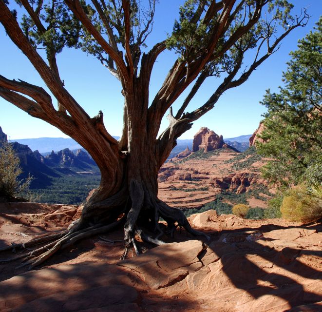 Colorado Plateau on 4x4: 2-Hour Tour From Sedona - Notable Reviews