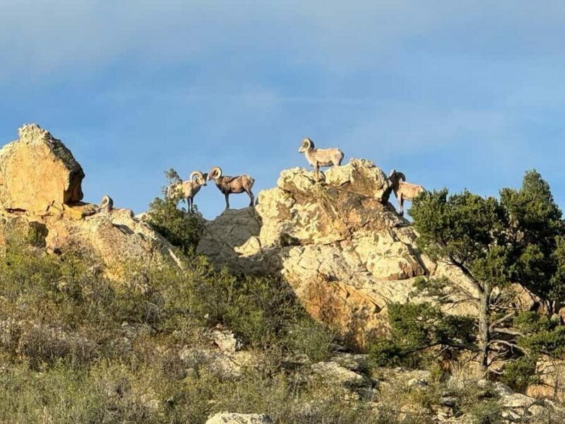 Colorado Springs: Garden of the Gods & Historic Town Tour - Authentic Perspectives from Travelers