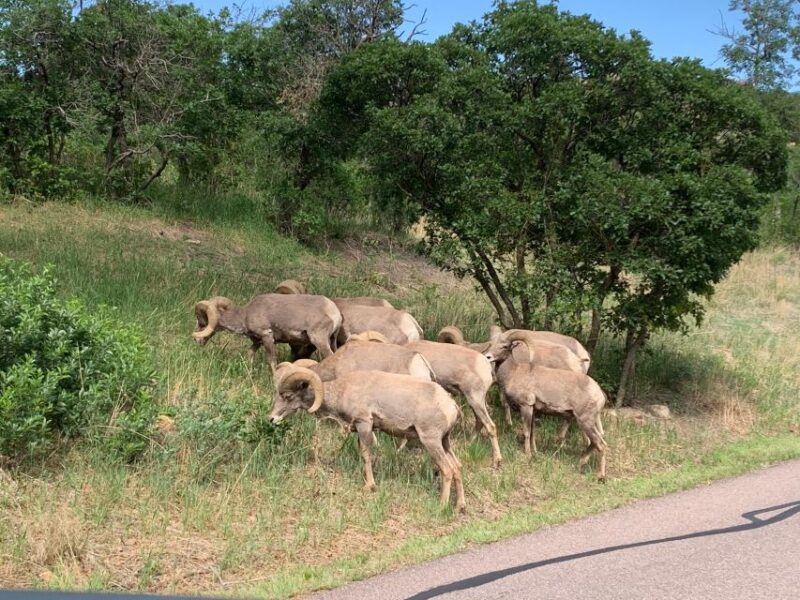 Colorado Springs: Garden of the Gods Luxury Jeep Tour - Inclusions and Important Information