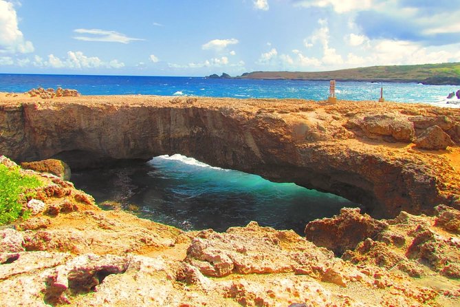 Colorful Beach Bus Sightseeing Tour of Aruba - Guest Experiences