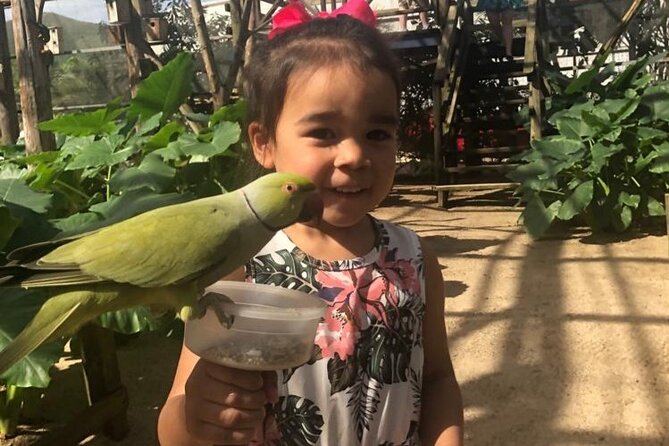 Colorful Species Of Birds - Captivating Cockatoos and Macaws