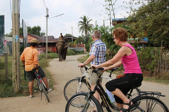 Colors of Ayutthaya Full-Day Bike Tour - Meeting and End Points