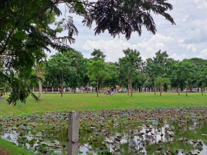 Colors of Ayutthaya: UNESCO Heritage 6 Hour Bicycle Tour - Customer Reviews Summary