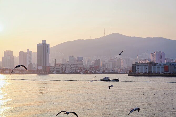 Colors of Busan: Sky Capsule, Jagalchi Market & Night Views - Introduction