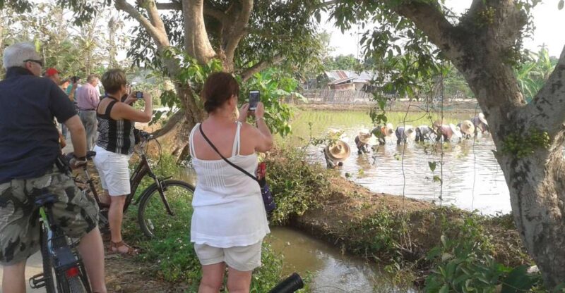 Colors of Chiang Mai Guided Bicycle Tour - Pricing and Cancellation