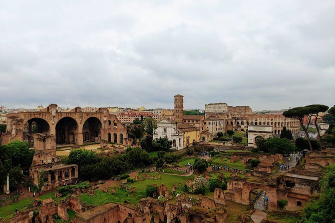 Colosseum & Ancient Rome Guided Walking Tour - Tour Reviews Highlights