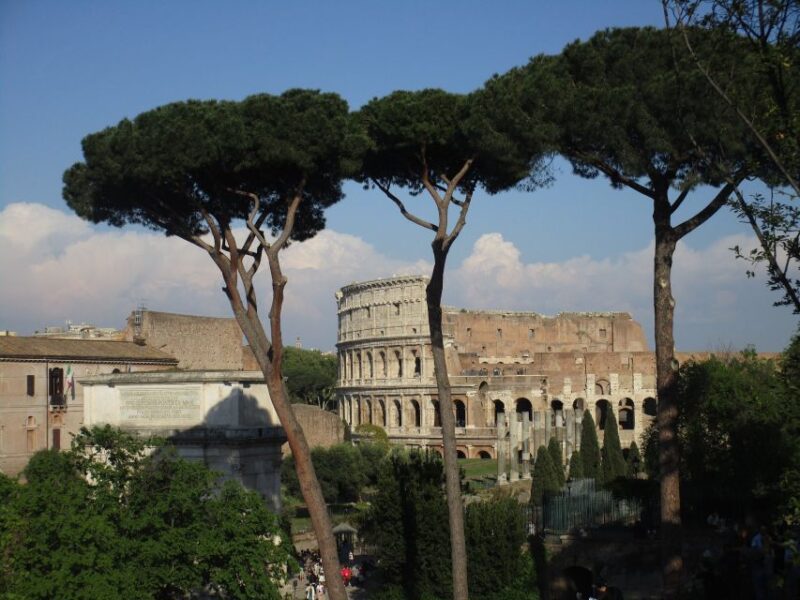 Colosseum Express Tour With Local Guide - Itinerary Highlights