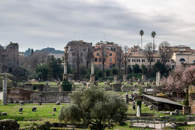 Colosseum, Forum and Ancient Rome Private Guided Tour - Ancient Colosseum