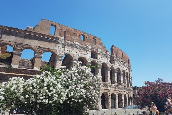 Colosseum Guided Tour - Review Highlights