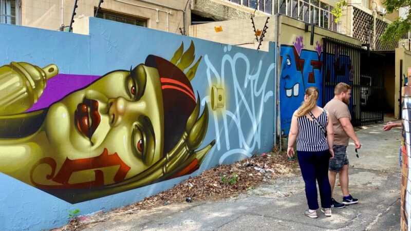 Colours of Johannesburg: A Graffiti & Street Art Tour - Highlights of the Tour
