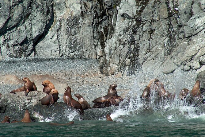 Columbia Glacier Cruise From Valdez - Additional Details and Accessibility