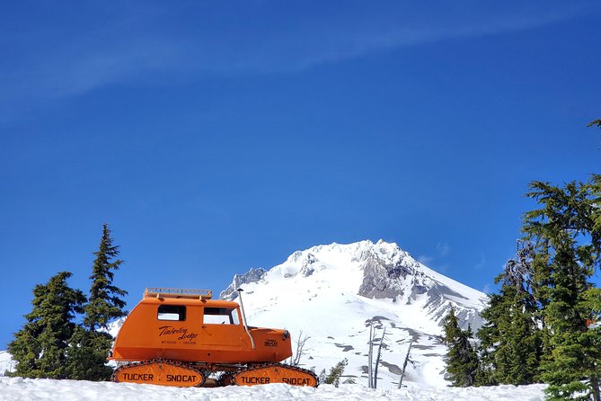 Columbia Gorge Waterfalls and Mt. Hood Tour - Full Day - Sights to See