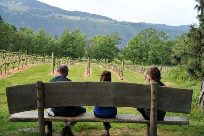 Columbia Gorge Waterfalls & Wineries from Portland: All-Inclusive Afternoon Tour - Wineries: Sampling Local Bottles at WyEast Vineyards