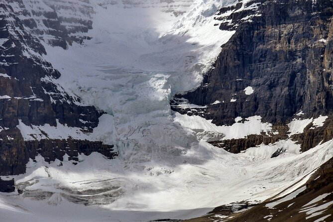 Columbia Icefield Adventure 1-Day Tour From Calgary or Banff - Customer Feedback
