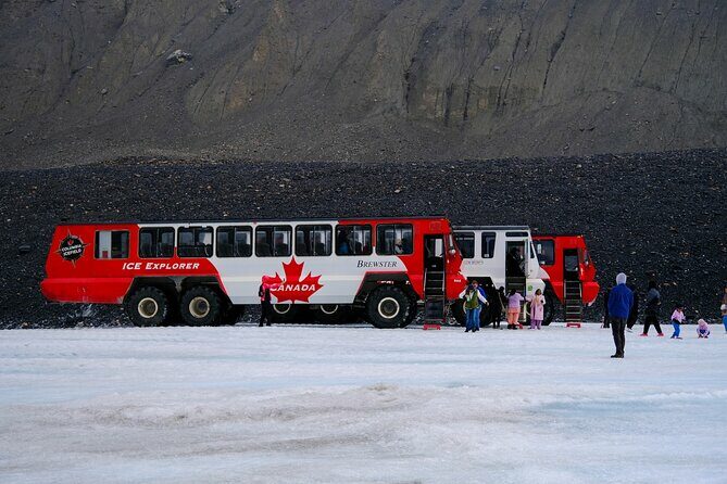 Columbia Icefield Adventure,Bow Lake,Peyto Lake in Banff & Jasper - Discover the Canadian Rockies with the Columbia Icefield Adventure