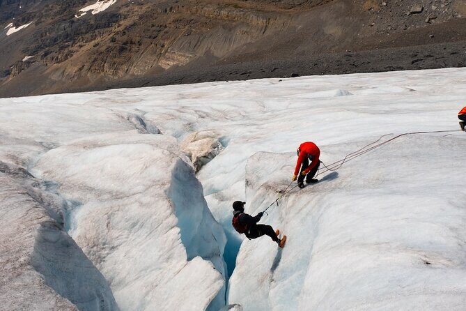 Columbia Icefield Adventure,Bow Lake,Peyto Lake in Banff & Jasper - Who Will Love This Tour?