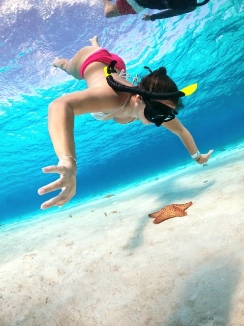 Columbia , Palancar & Cielo Snorkel Tour - Key Points
