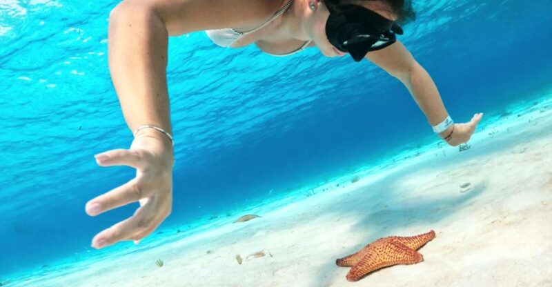 Columbia , Palancar & Cielo Snorkel Tour - Inclusions and What to Bring