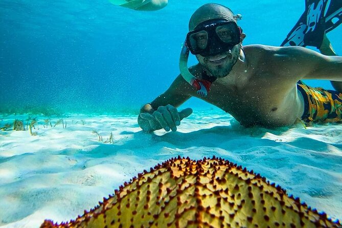 Columbia , Palancar & Cielo Snorkel Tour - Customer Feedback