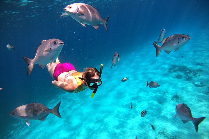Columbia , Palancar & Cielo Snorkel Tour - Safety Considerations