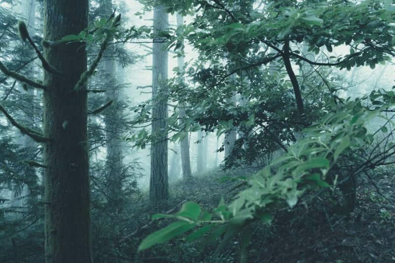 Columbia River Gorge Full Day Small Group Tour & Hike - Key Points