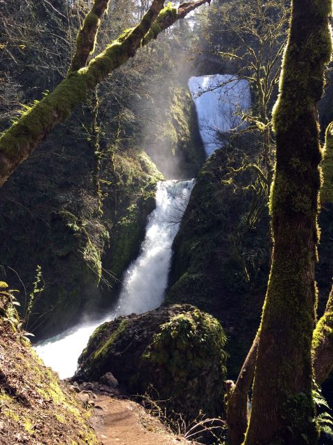 Columbia River Gorge Half-Day Small-Group Hiking Tour - Frequently Asked Questions