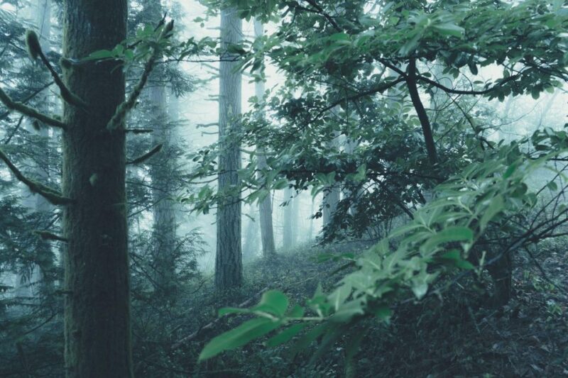 Columbia River Gorge: Small-Group Tour & Hike - Frequently Asked Questions