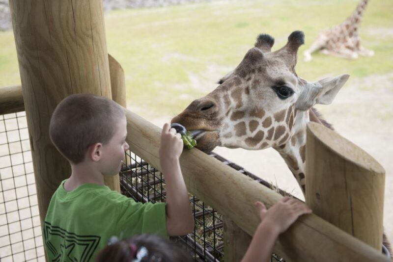 Columbus: Multiple Attractions Pass - Included Attractions
