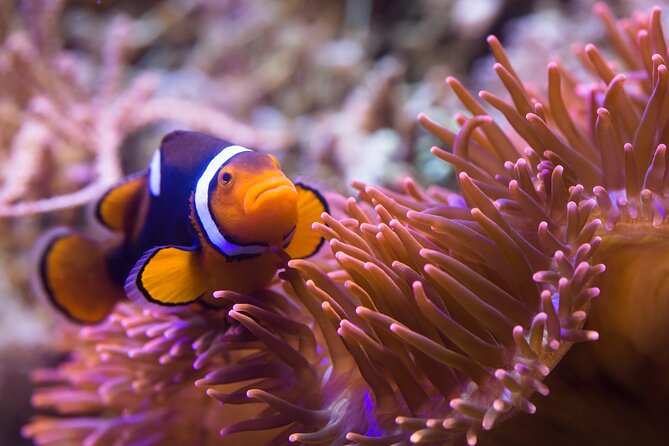 Combi Ticket: LEGOLAND Discovery Centre and SEA LIFE Berlin - Booking and Cancellation Policies