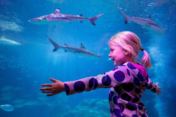 Combi Ticket: LEGOLAND Discovery Centre & SEA LIFE Oberhausen - Accessibility Information