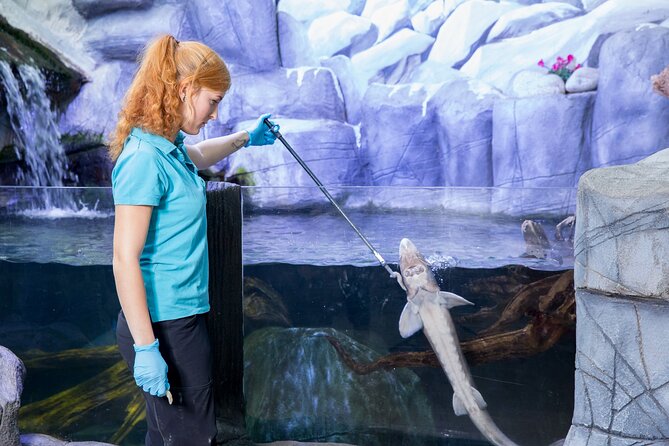 Combi Ticket: LEGOLAND Discovery Centre & SEA LIFE Oberhausen - Review Highlights