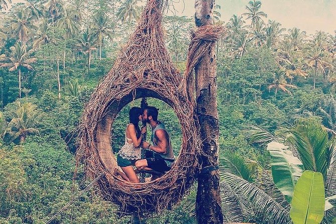 Combination ATV QUAD Bike Ride & Jungle Swing With Complimentary Lunch - Good To Know